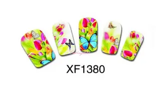 Full water decal tulipe papillon XF1380