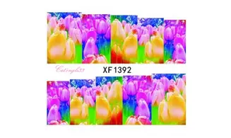 Full water decal tulipe XF1392