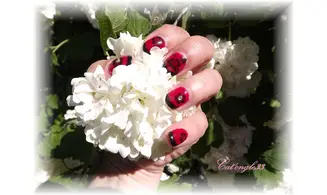 Water decal hibiscus noire XF1437