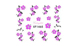 Water decal hibiscus rose noire XF1465