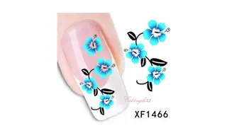 Water decal hibiscus bleu noire XF1466