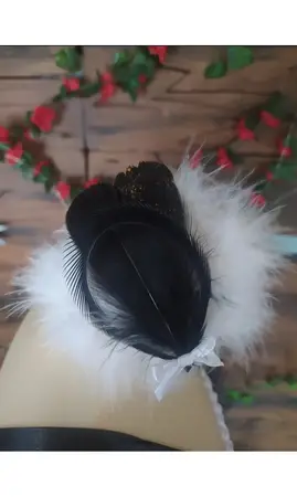 Cygne noir