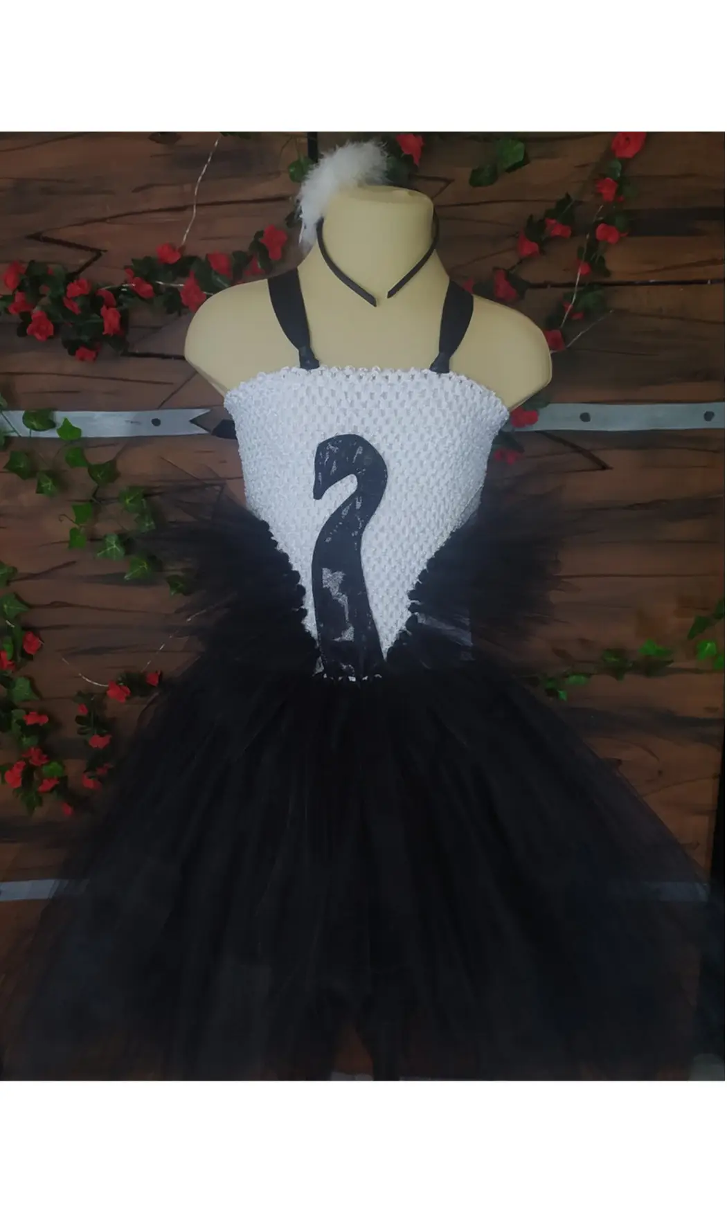 Cygne noir