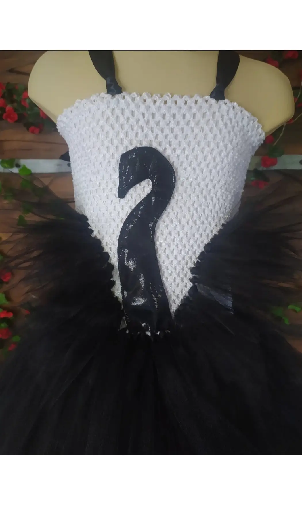 Cygne noir