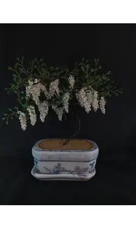 Bonsaï en fleurs pot