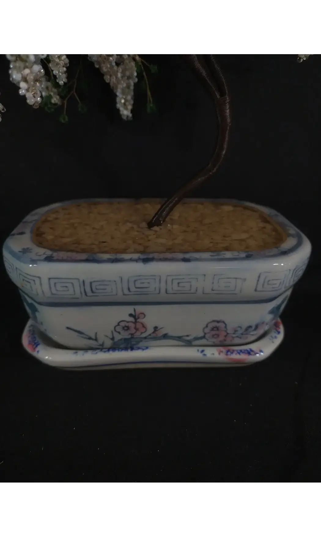Bonsaï en fleurs pot