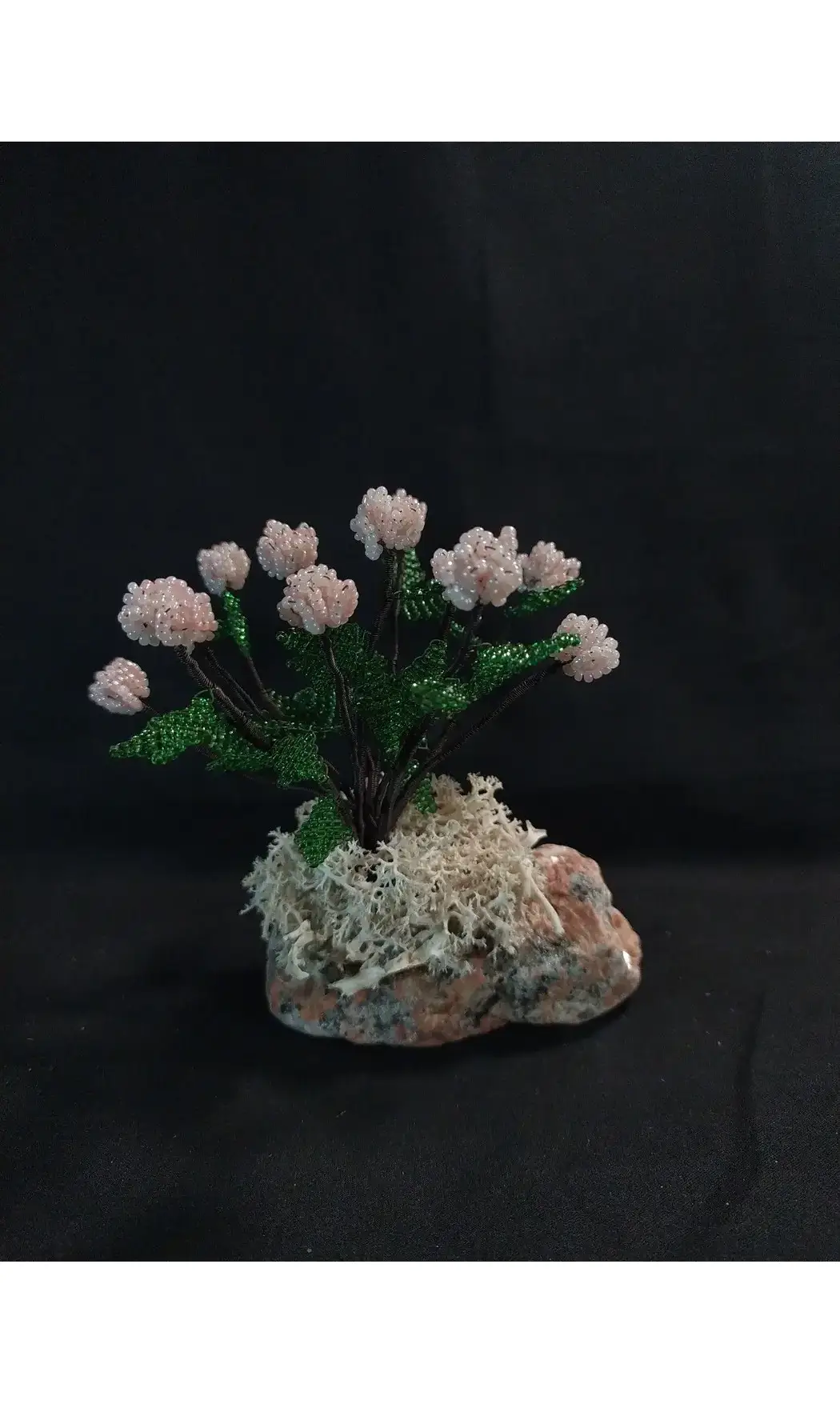 Grand Hortensia sur pierre