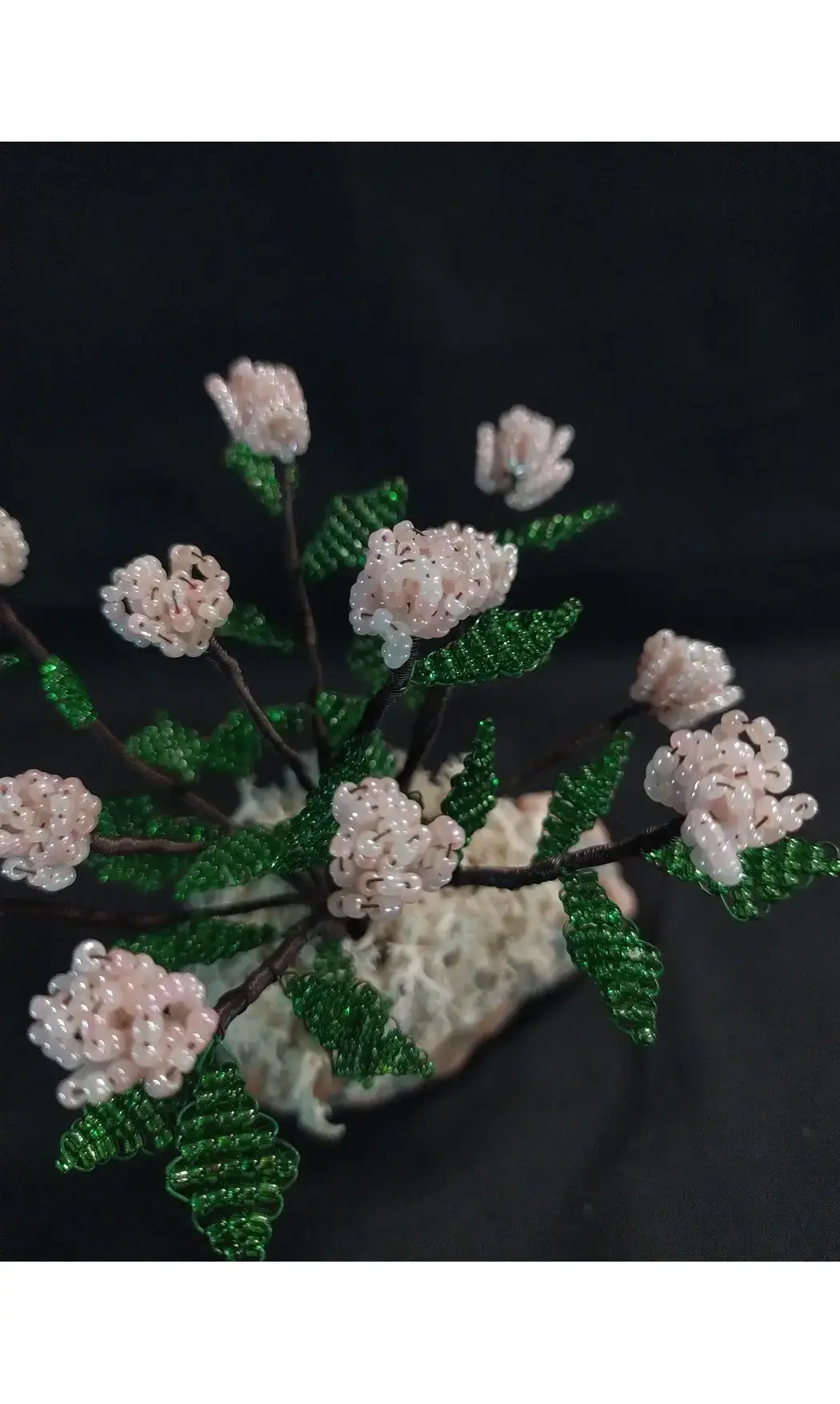 Grand Hortensia sur pierre