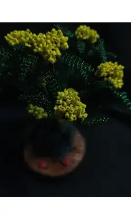 Pyracantha jaune coccinelle