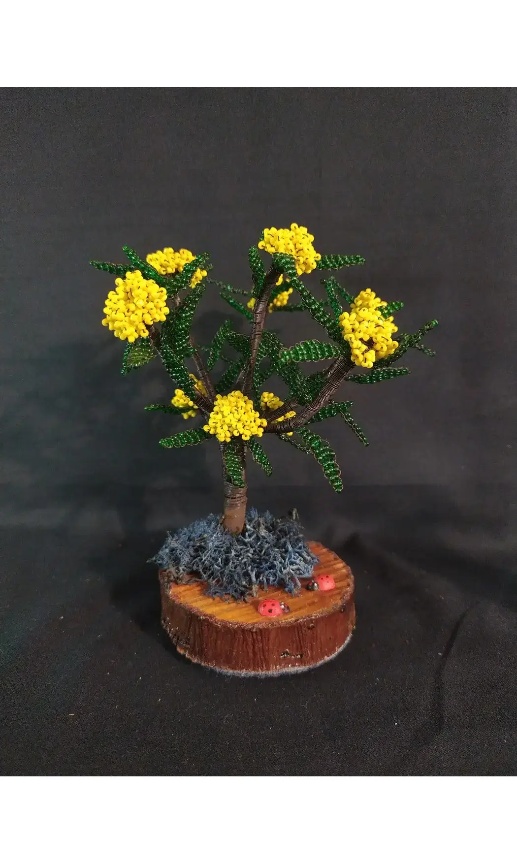 Pyracantha jaune coccinelle