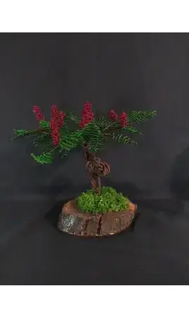 Sumac de virginie bois