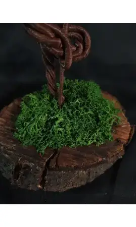 Sumac de virginie bois
