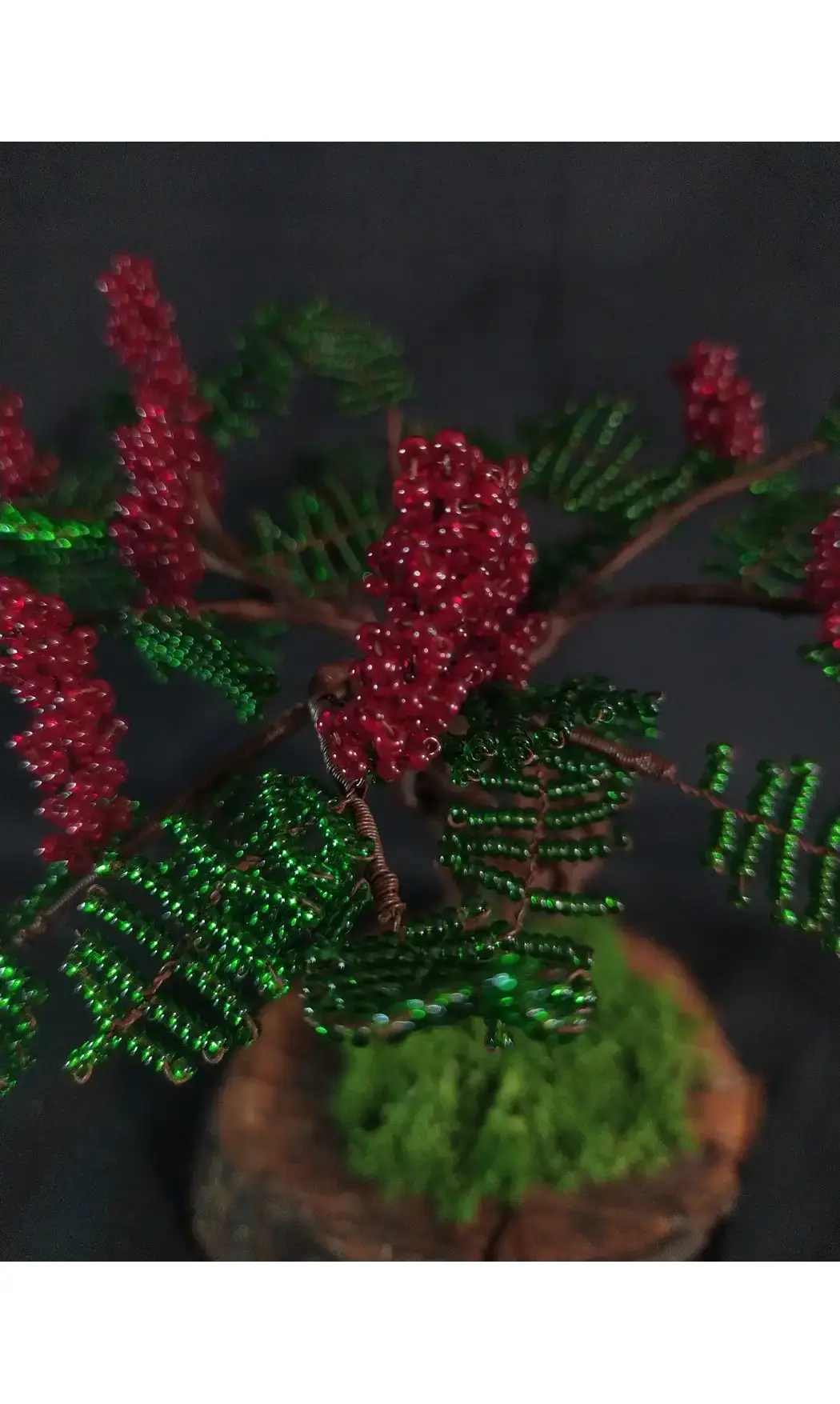 Sumac de virginie bois