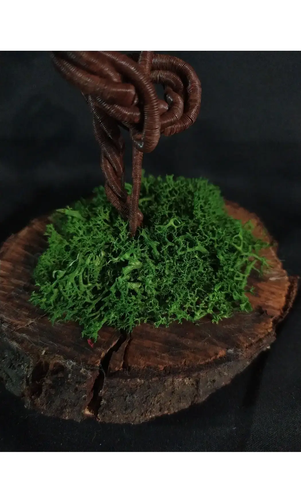 Sumac de virginie bois