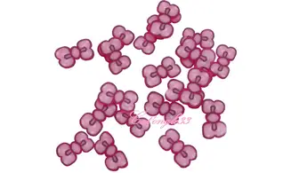 Sachet de fimo noeud fuchsia
