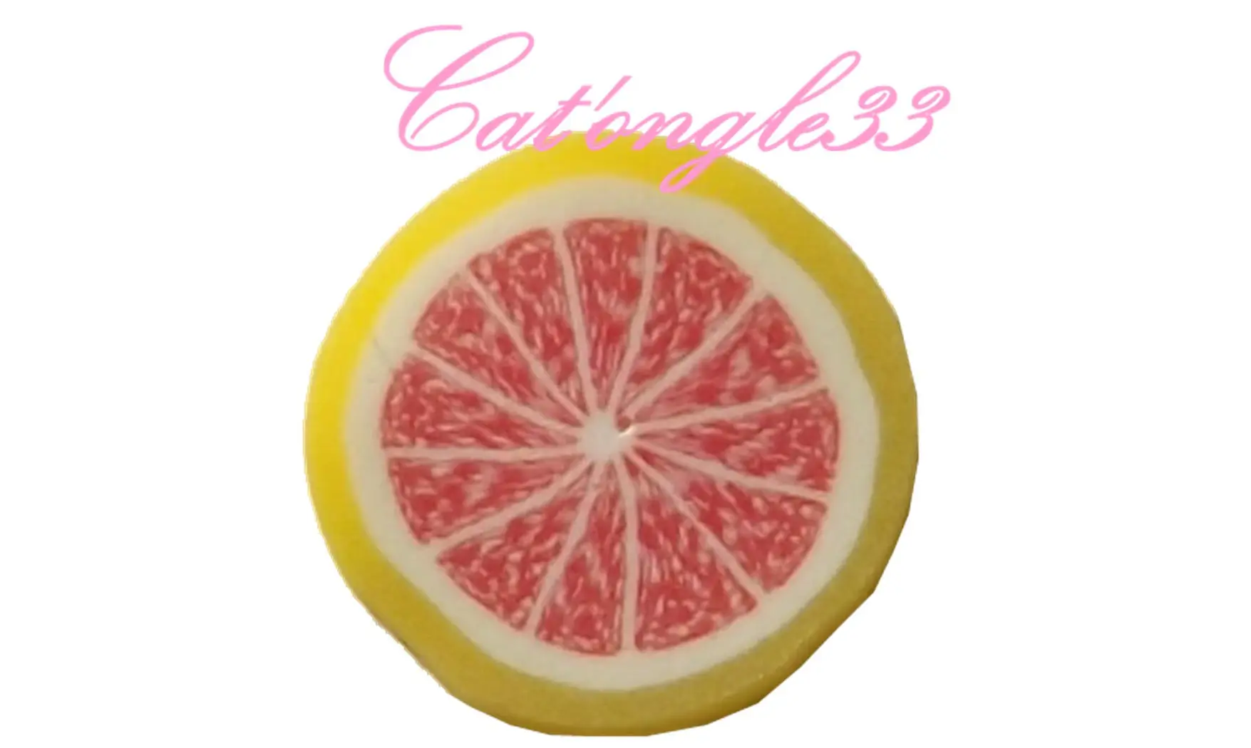 Sachet de fimo pamplemousse