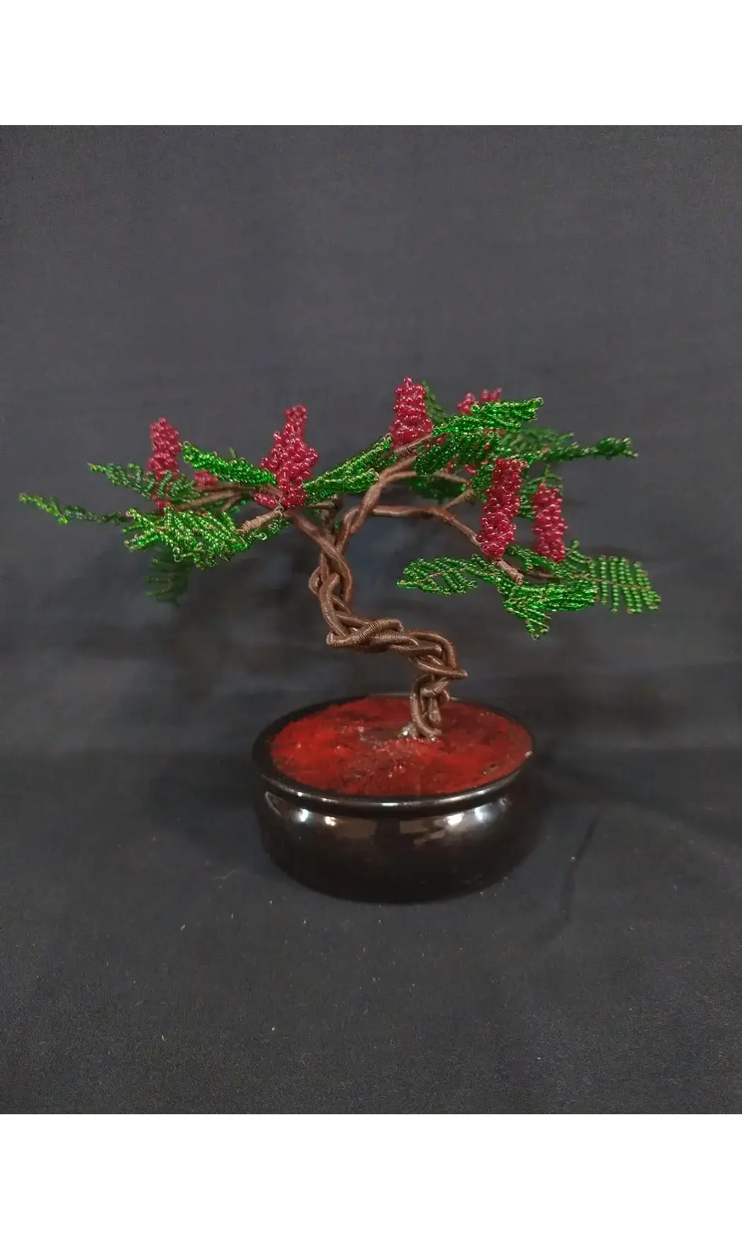 Sumac de virginie pot noir
