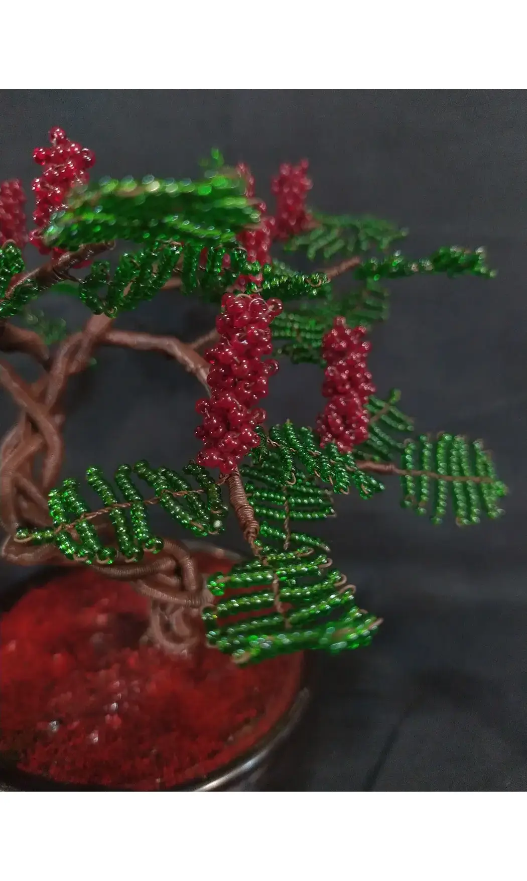 Sumac de virginie pot noir