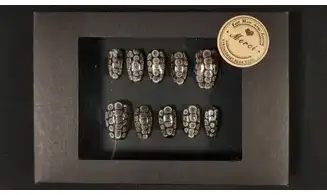 Press on nails Serpent noir - Taille XS