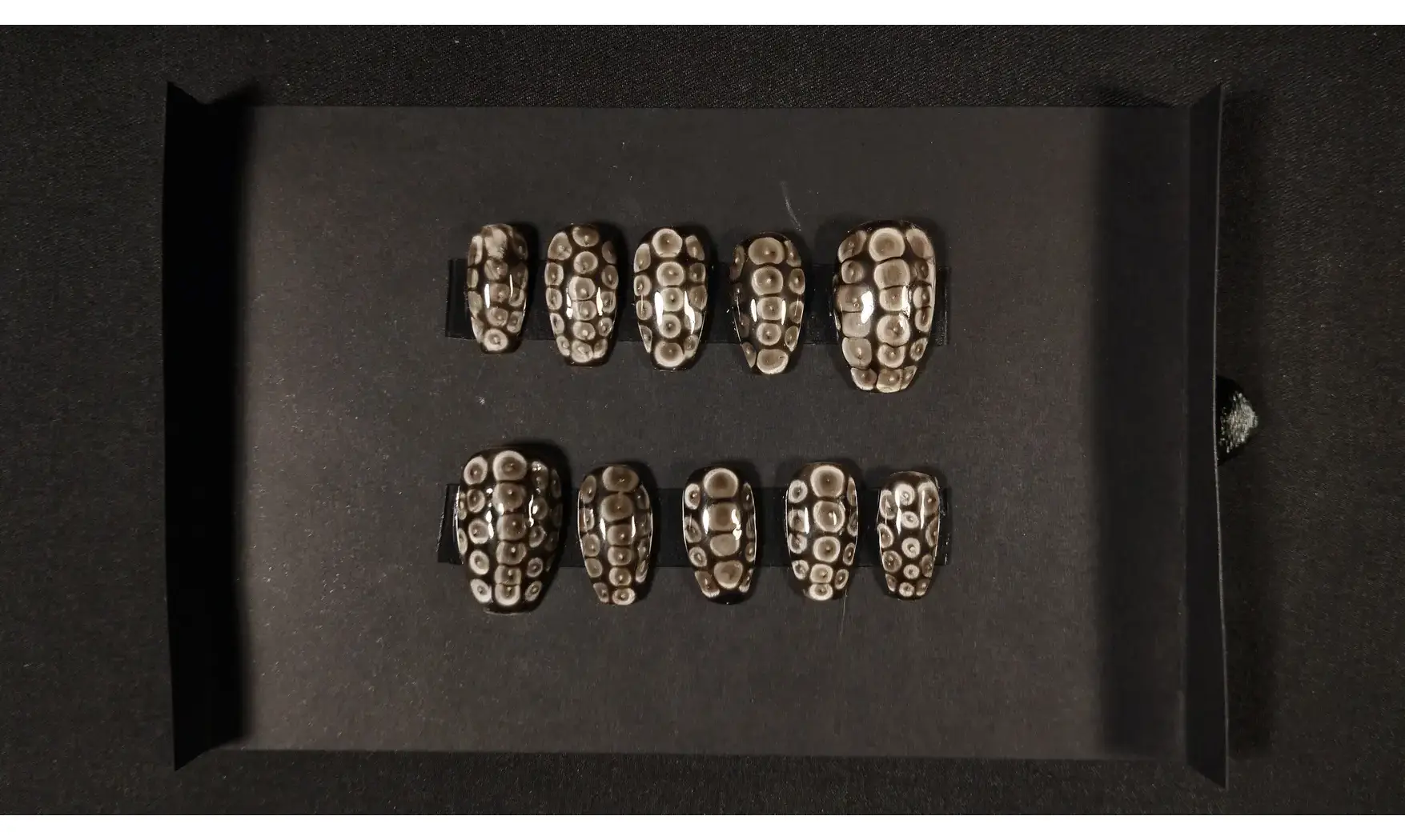 Press on nails Serpent noir - Taille XS