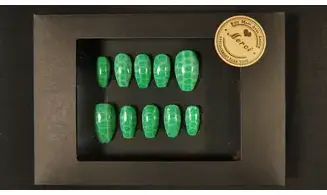 Press on nails Serpent vert - Taille XS