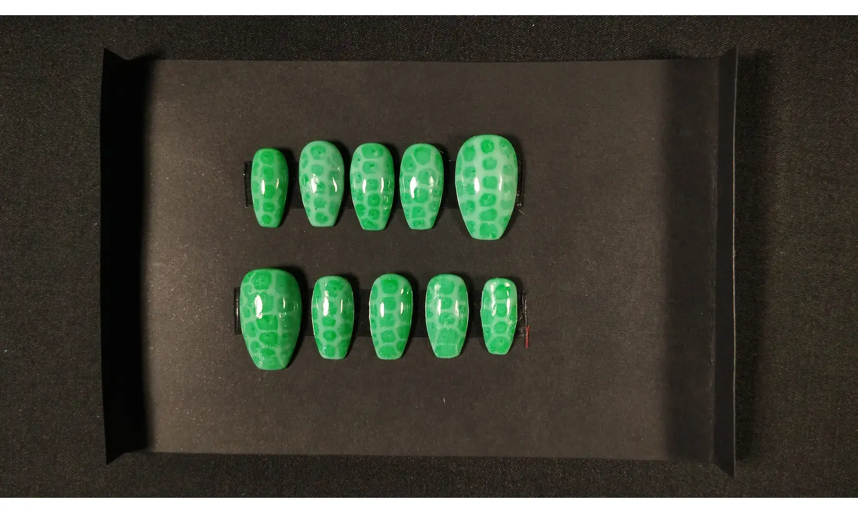 Press on nails Serpent vert - Taille XS