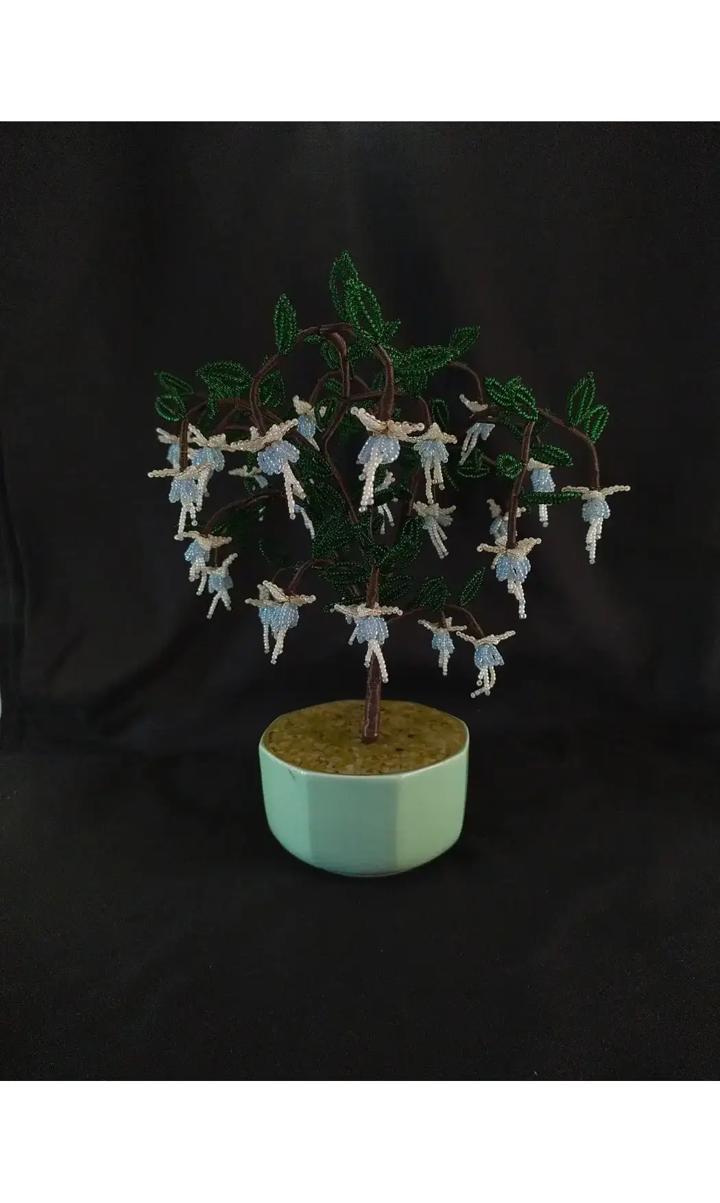 Fuchsia bleu pot vert