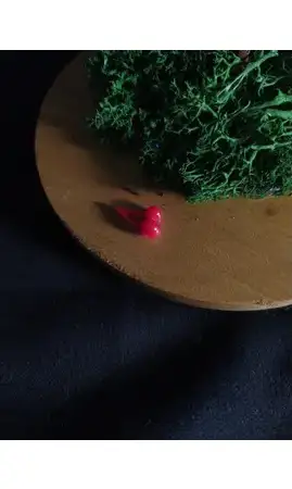 Cerisier socle bois