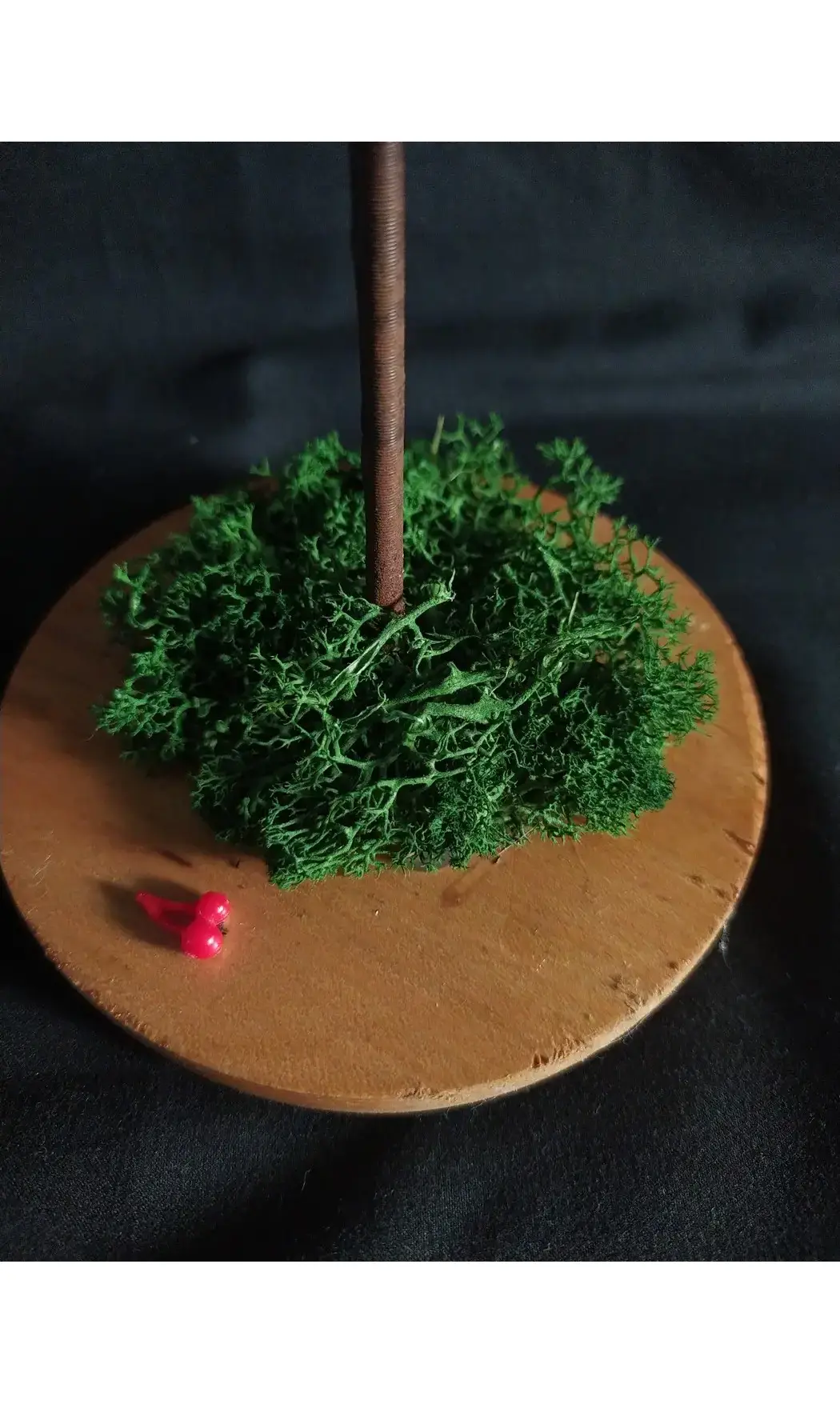 Cerisier socle bois