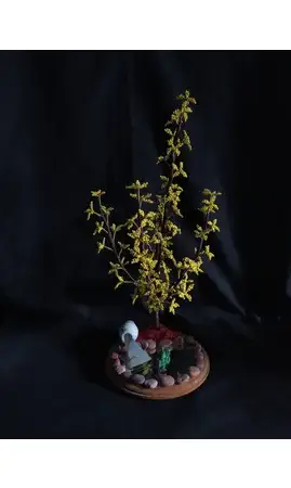 Forsythia socle bois grenouille
