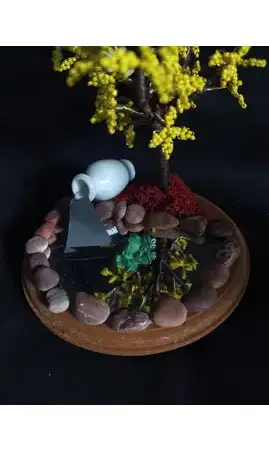 Forsythia socle bois grenouille