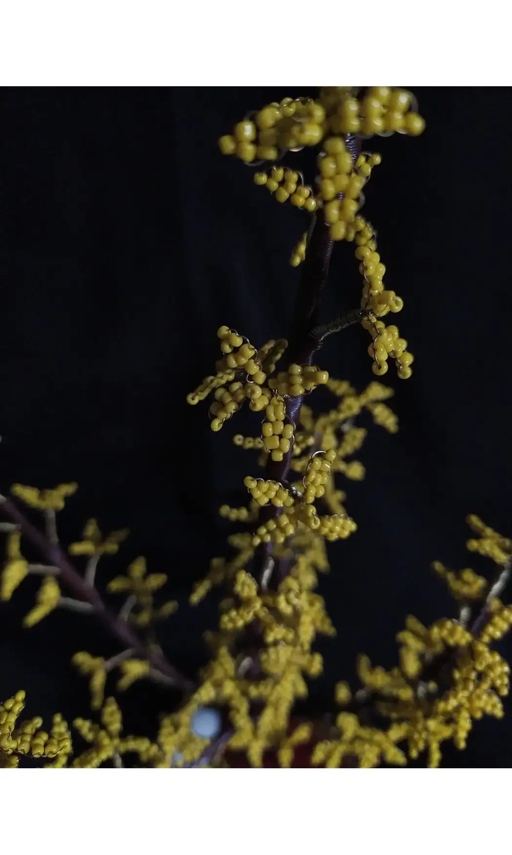 Forsythia socle bois grenouille