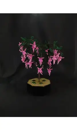 Fuchsia rose pot noir