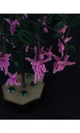 Fuchsia rose pot noir