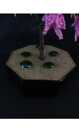 Fuchsia rose pot noir