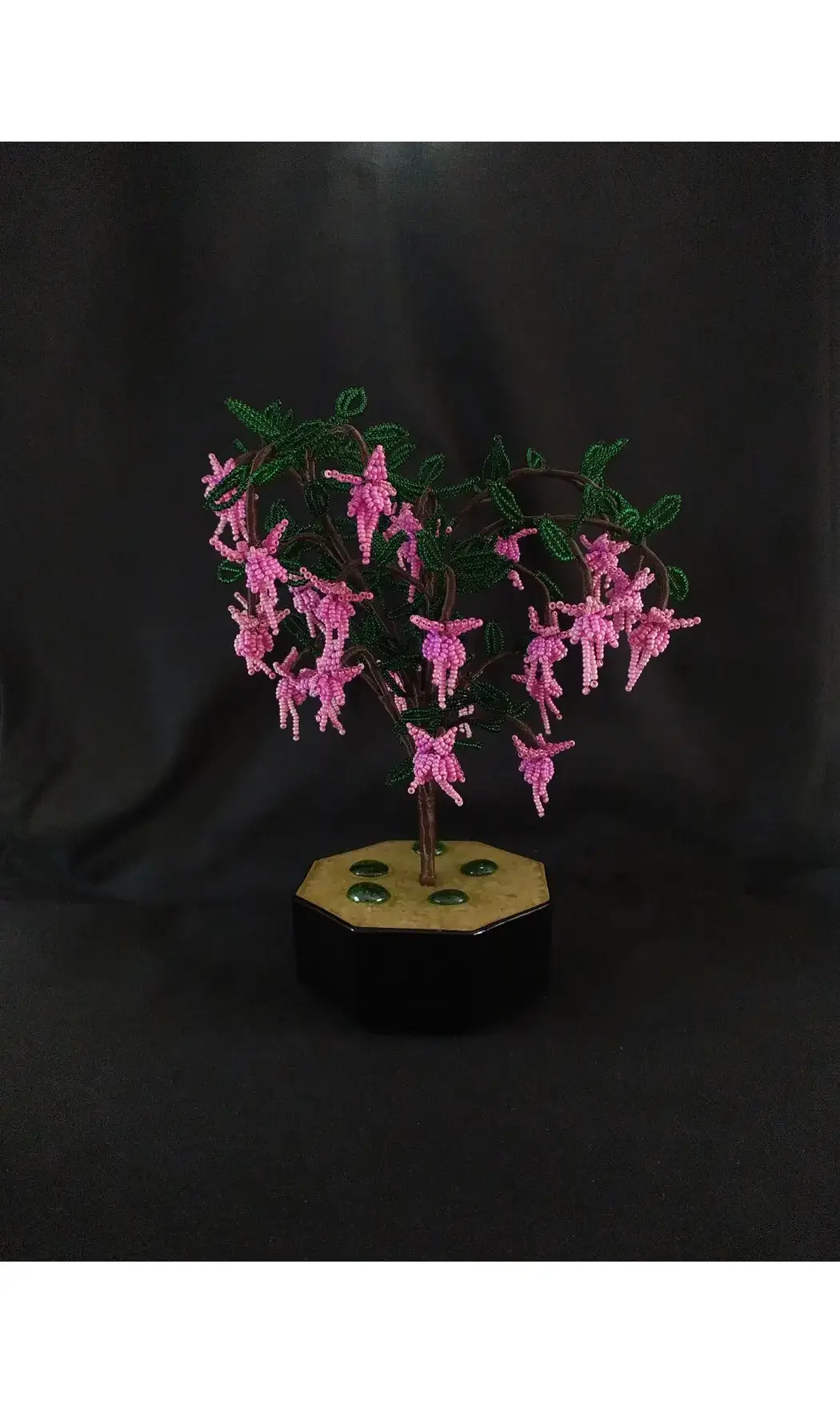 Fuchsia rose pot noir