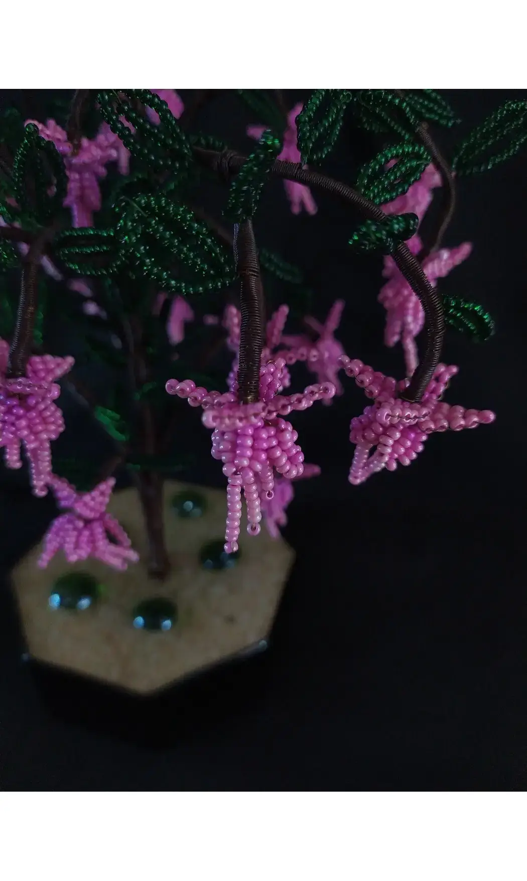 Fuchsia rose pot noir