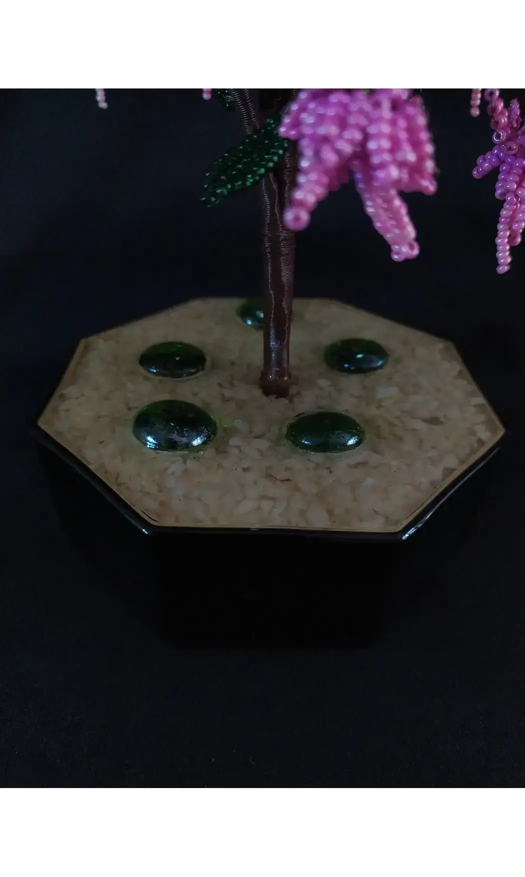 Fuchsia rose pot noir