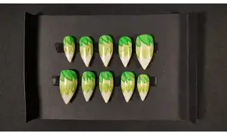 Press on nails Taille L