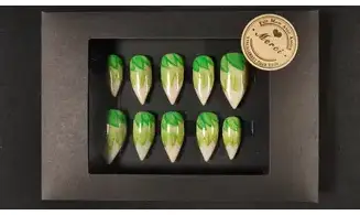 Press on nails Taille L
