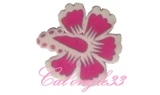 Sachet de fimo hibiscus rose