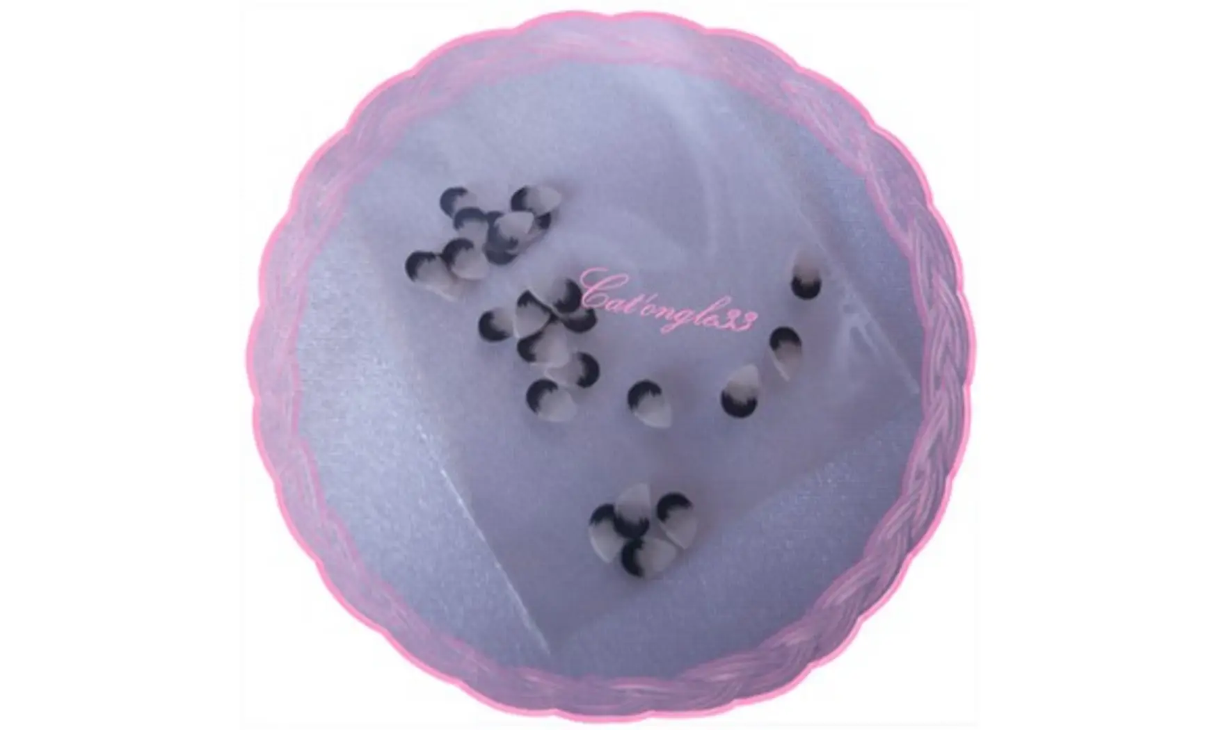Sachet de fimo plume noire grise
