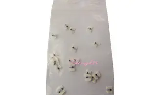 Sachet de fimo papillon blanc