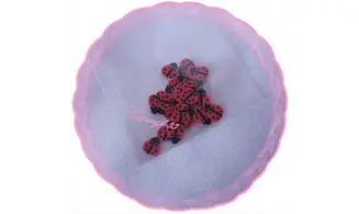 Sachet de fimo coccinelle