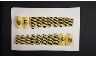 Press on nails Serdaigle HP - Lot 20