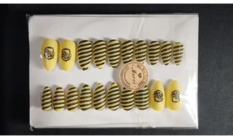 Press on nails Serdaigle HP - Lot 20