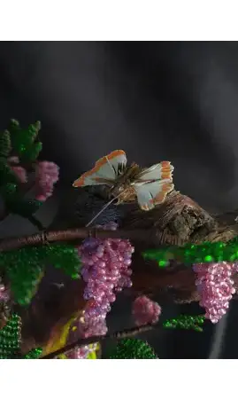 Pied de vigne avec petit oiseau