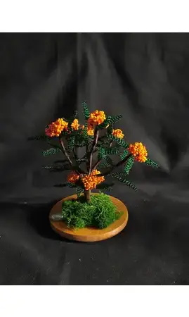 Pyracantha orange socle bois