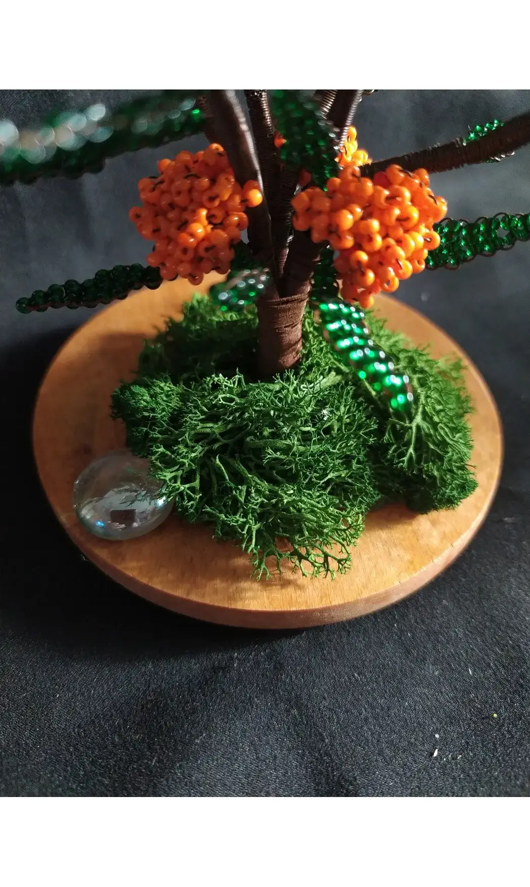 Pyracantha orange socle bois