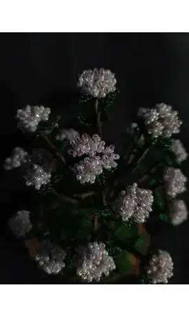 Rhododendron avec arrosoir